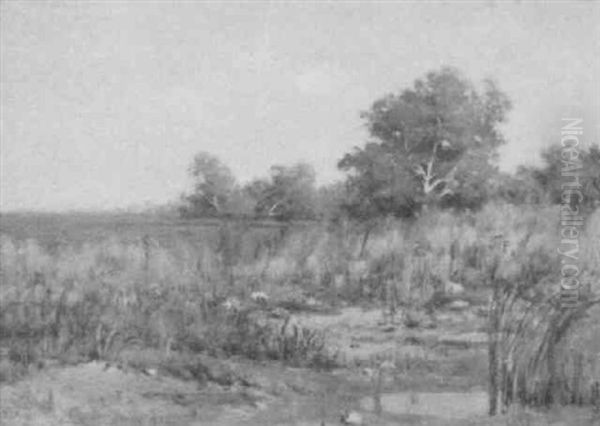 Marsh Scene Oil Painting by Peter Edward Rudell