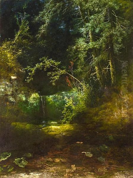 Le Sous Bois Oil Painting by Jakob Lorenz Ruedisuehli