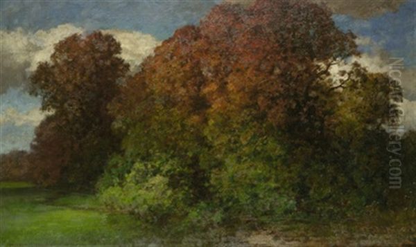 Waldchen Im Fruhherbst by Traugott Hermann Ruedisuehli