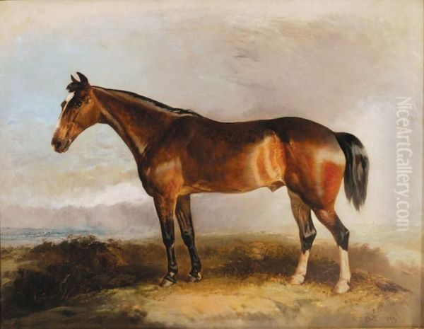 A Favourite Hunter Oil Painting by R.T. Bott