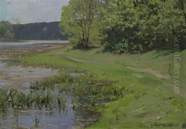 Sommerlicher Uferweg Am Schlachtensee by Johannes Rudolphi