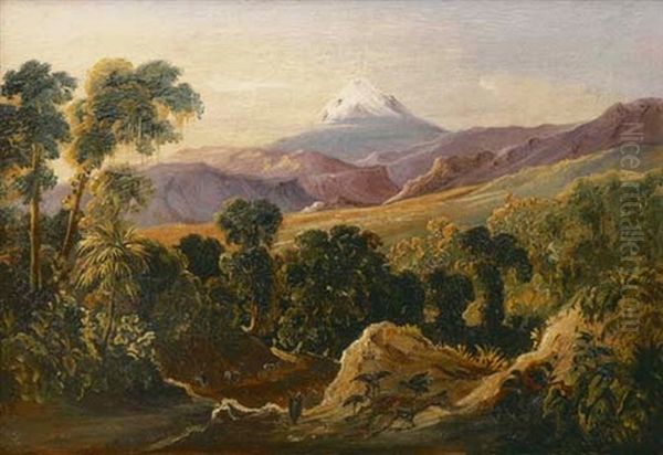 Pico De Orizaba Oil Painting by Johann Moritz Rugendas