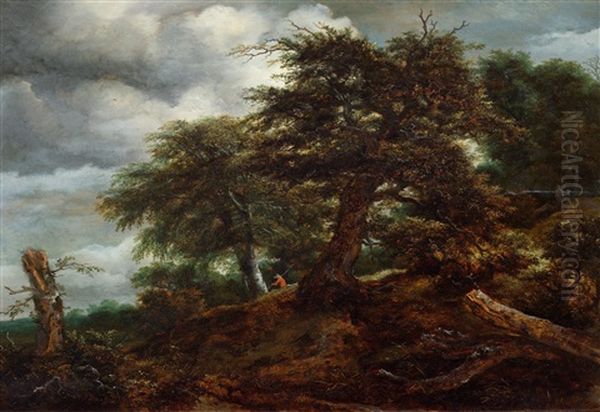 Bewaldeter Hugel Mit Wanderer Und Zwei Baumstumpfen Oil Painting by Jacob Van Ruisdael