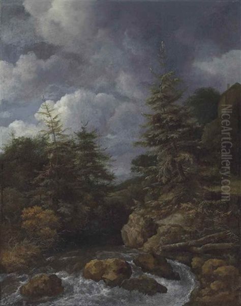 A River Landscape With Fir Trees By A Cascade, With A Figure On A Path Below A House On An Escarpment Oil Painting by Jacob Van Ruisdael