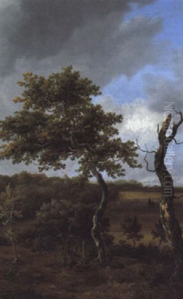 Waldlandschaft Mit Hausern Im Hintergrund by Jacob Van Ruisdael