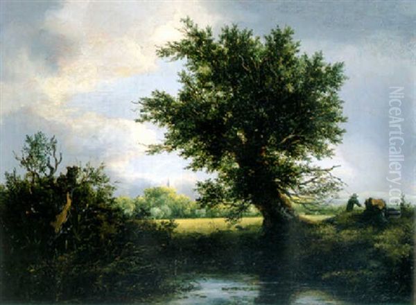 A Pollarded Willow Overhanging A Pool With A Cornfield, A Wood And A Church Spire Beyond Oil Painting by Jacob Van Ruisdael