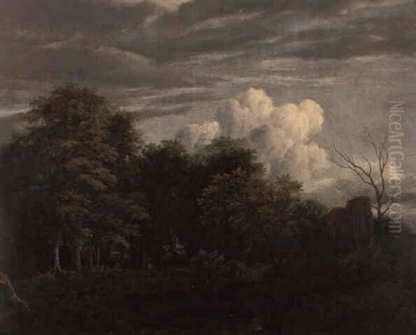 Buchenwald Mit Durchblicken Oil Painting by Jacob Van Ruisdael