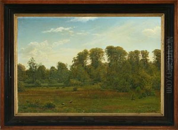 Forest Scenery With Storks In The Meadow by Gotfred Christian Rump