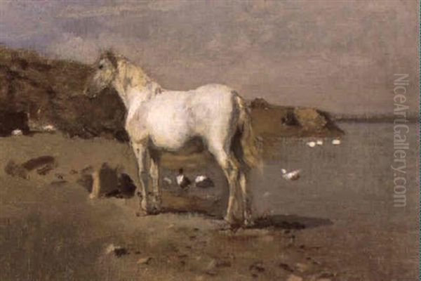 Schimmel An Sandigem Ufer Oil Painting by Franz Rumpler