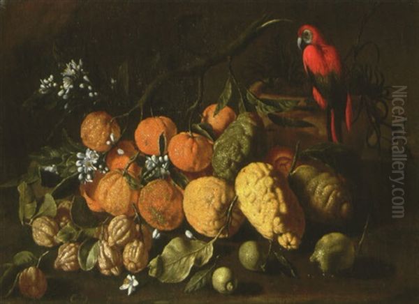 Natura Morta Di Frutta Con Limoni, Arance E Cedri (+ Natura Morta Di Frutta Con Uva E Mele; 2 Works) Oil Painting by Giuseppe Ruoppolo