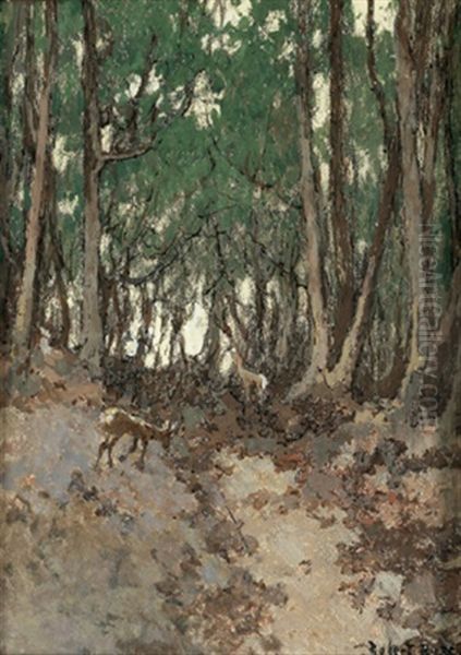 Waldweg Und Reh Oil Painting by Robert Russ