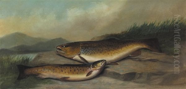 Brown Trout Oil Painting by John Bucknell Russell