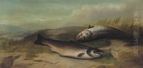 Salmon Oil Painting by John Bucknell Russell