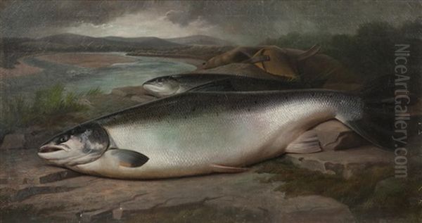 Prize Winning Salmon Oil Painting by John Bucknell Russell