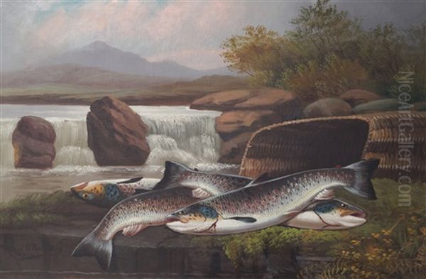 Trout On A Ledge Oil Painting by John Bucknell Russell