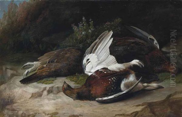 Grouse Oil Painting by John Bucknell Russell