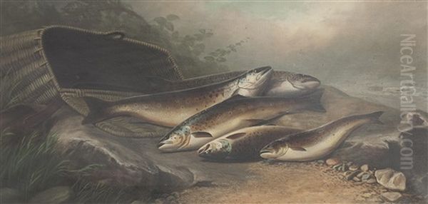 The Day's Catch Of Salmon/trout Oil Painting by John Bucknell Russell