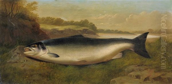 Still Life Of A Prize Salmon On A Riverbank Oil Painting by John Bucknell Russell