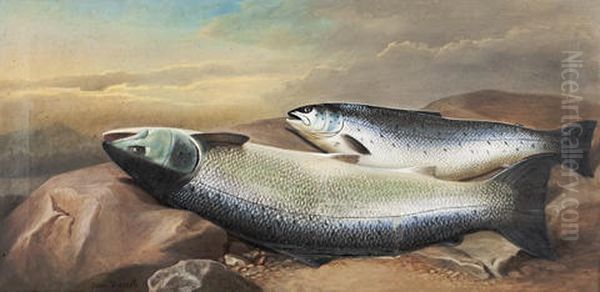 A Salmon And Trout On River Rock Oil Painting by John Bucknell Russell