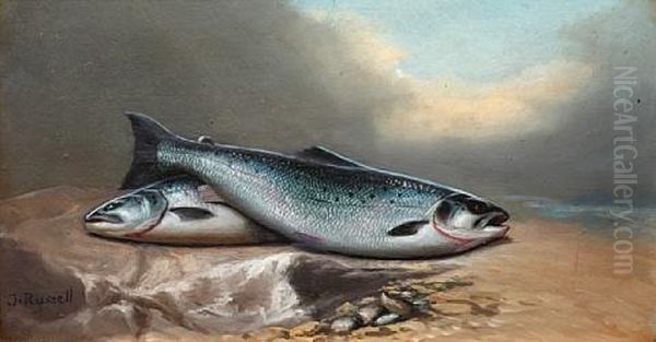 A Brace Of Salmon (+ A Catch Of Brown Trout; Pair) Oil Painting by John Bucknell Russell