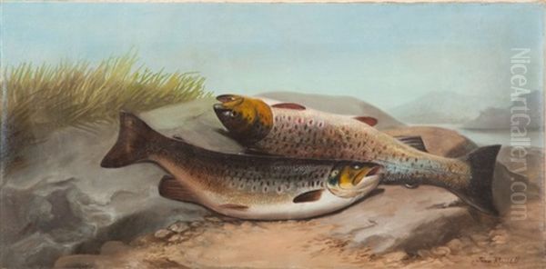 A Brace Of Trout Oil Painting by John Bucknell Russell