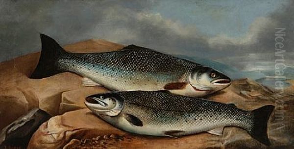 A Brace Of Salmon On A Rock Oil Painting by John Bucknell Russell