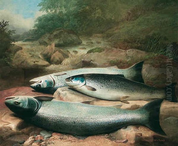 Salmon On The River Bank Oil Painting by John Bucknell Russell