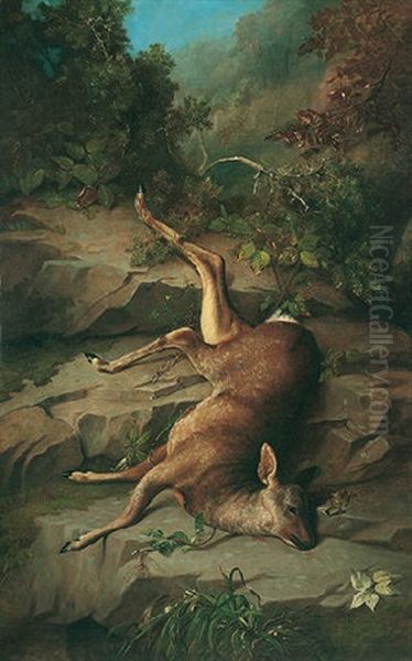 Dead Hind Oil Painting by John Bucknell Russell