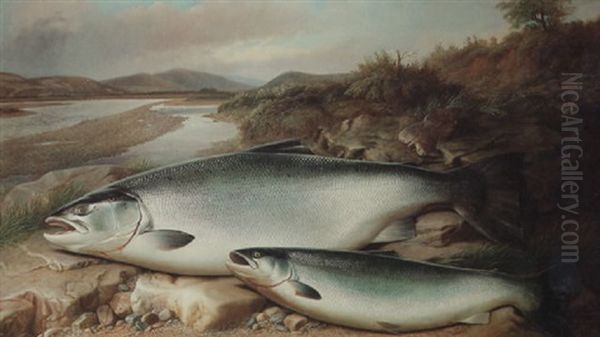 Salmon On A River Bank Oil Painting by John Bucknell Russell