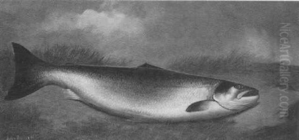 A Salmon On A Riverbank Oil Painting by John Bucknell Russell