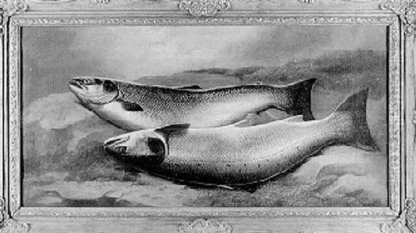 Still Life Of Two Salmon On A Riverbank Oil Painting by John Bucknell Russell