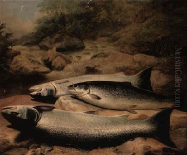 Study Of Salmon On A Rocky Riverbank Oil Painting by John Bucknell Russell