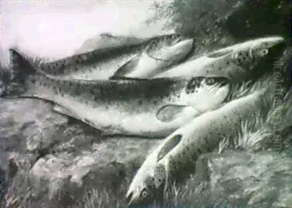 Trout Oil Painting by John Bucknell Russell