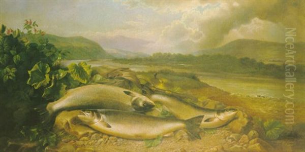 Three Fresh-run Hen Salmon On The Banks Of The Spey Near Glen Grant Oil Painting by John Bucknell Russell