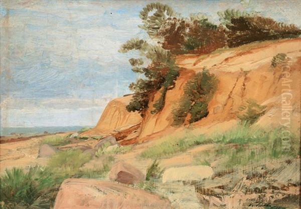 Steep Coast By The Baltic Sea Oil Painting by Johann Valentin Ruths