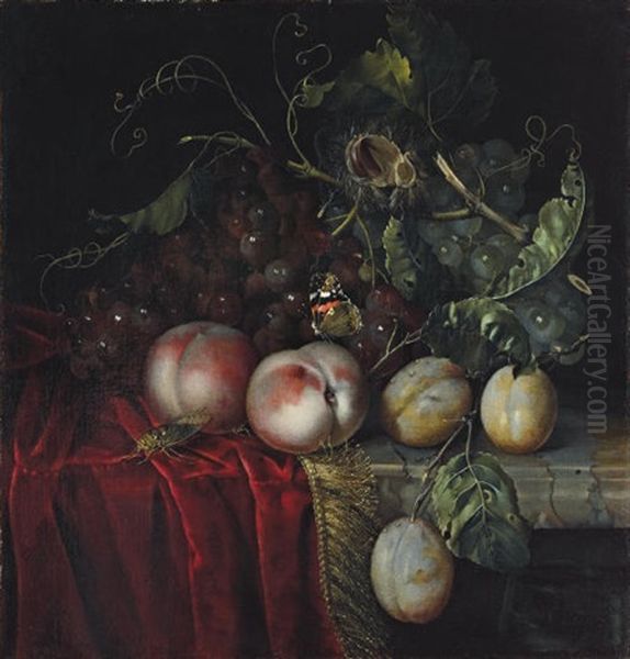 A Bunch Of Grapes, Two Peaches, Plums And A Chestnut, With A Butterfly And A Cockroach Oil Painting by Anna Elisabeth Ruysch