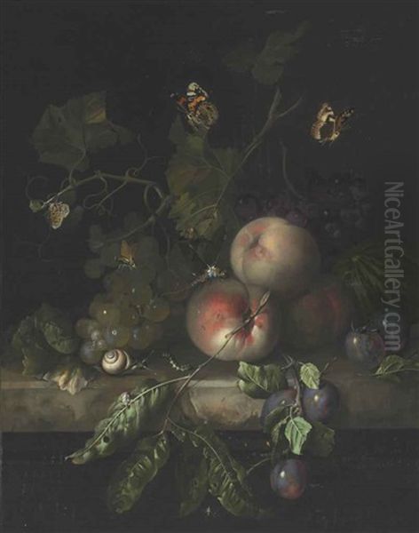 Peaches, Grapes, And Plums With A Dragonfly, Snail, Caterpillar, Moths, And Other Insects On A Stone Ledge Oil Painting by Rachel Ruysch