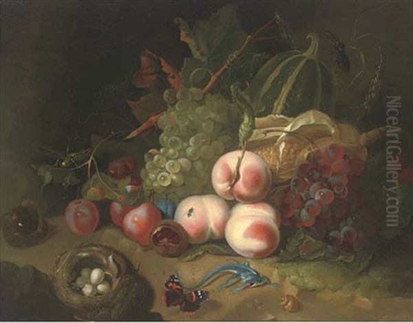 Peaches, Grapes, Plums, Chestnuts, A Melon, An Ear Of Corn, A Snail, A Lizard, A Butterfly, A Beetle, A Grasshopper, Flies And A Birds Nest With Eggs On A Forest Floor Oil Painting by Rachel Ruysch