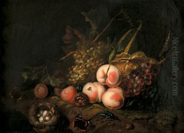 Still Life With Fruit, Insects, Lizard And Bird's Nest Oil Painting by Rachel Ruysch