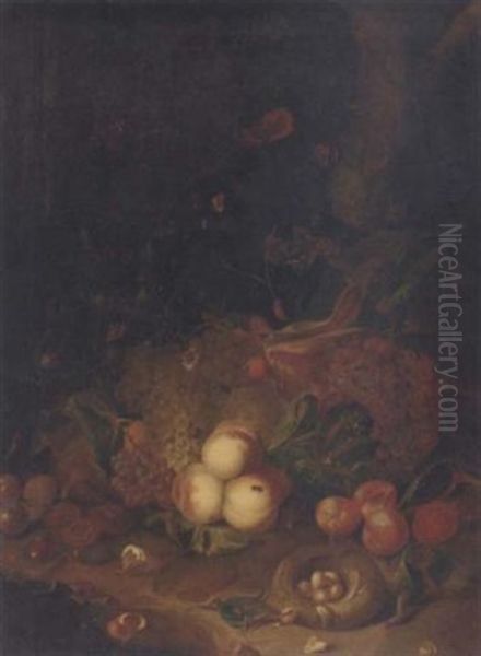 Apples, Pears, Grapes, Corn, Pomegranates, A Birds Nest With Eggs And Butterflies, A Lizard And Other Insects Oil Painting by Rachel Ruysch