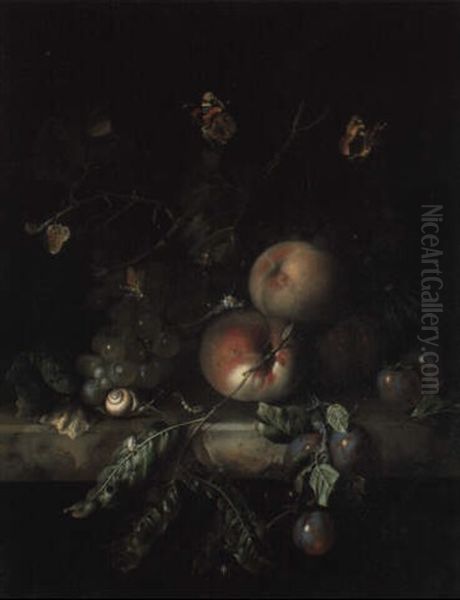 Peaches, Plums And Grapes On A Marble Ledge With Butterflies And Insects Oil Painting by Rachel Ruysch