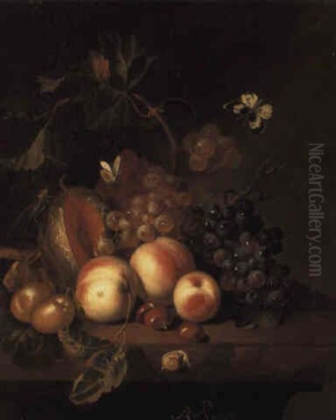 Peaches, Plums, Grapes, A Melon And Chesnuts With Insects On A Stone Ledge Oil Painting by Rachel Ruysch