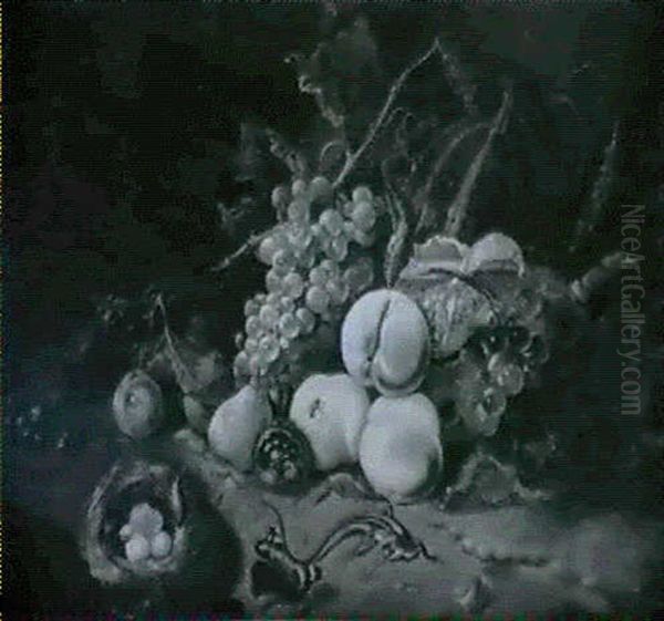 Nature Morte De Fruits, Nid, Lezard Et Insectes Oil Painting by Rachel Ruysch