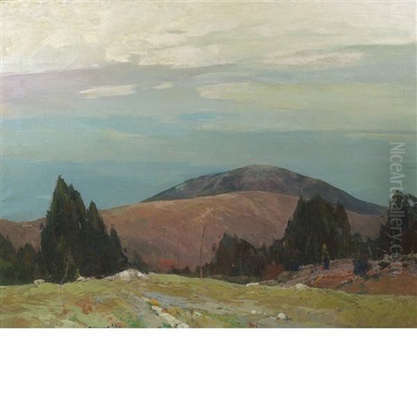 Mount Lovewell Near Hillsborough, New Hampshire Oil Painting by Chauncey Foster Ryder