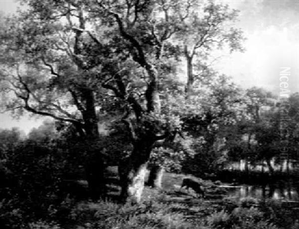 Stag Watering In A Summer Landscape Oil Painting by James de Ryk