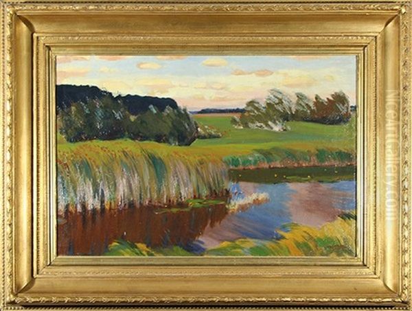 Summer Landscape With A Marsh Oil Painting by Arkady Rylov