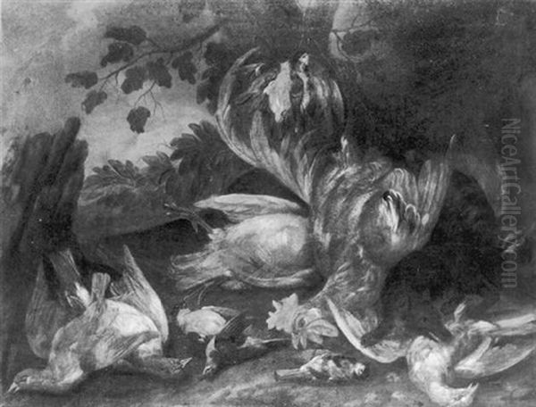 A Stoat Amongst A Cockerel And Other Birds In A Wooded Landscape Oil Painting by Peter (Pieter Andreas) Rysbrack