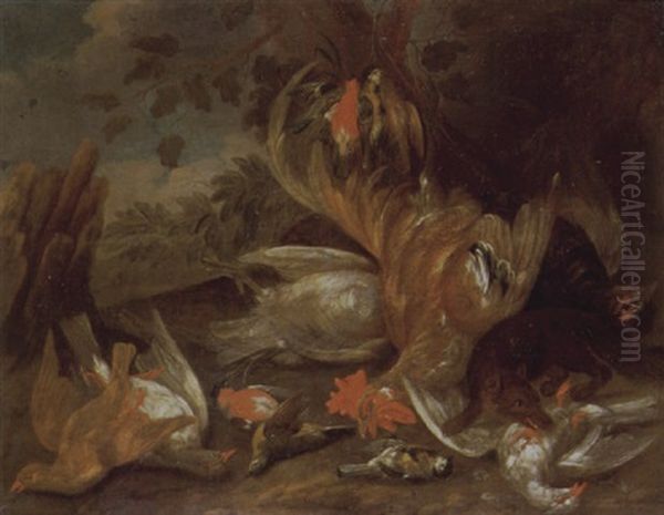 A Stoat Amongst A Cockerel And Other Birds In A Wooded Landscape Oil Painting by Peter (Pieter Andreas) Rysbrack