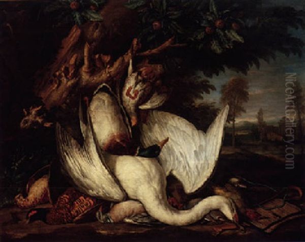 Still Life Of A Swan, Duck, Partridge, Snipe, Pheasant And Other Birds In A Landscape Oil Painting by Peter (Pieter Andreas) Rysbrack