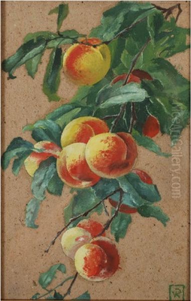 A Peach Laden Branch Oil Painting by Theo van Rysselberghe